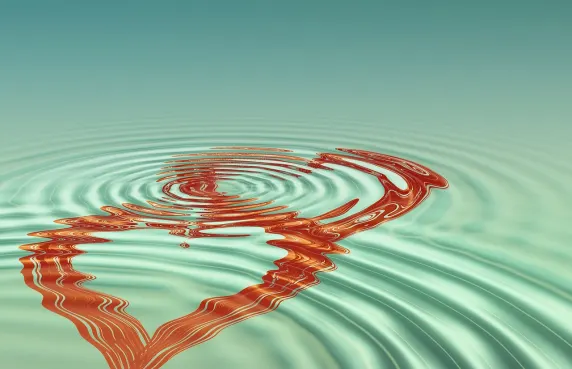 카지노 블랙 라벨 지원